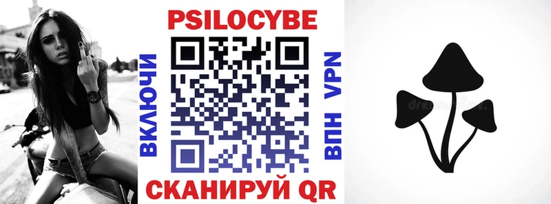 Галлюциногенные грибы Cubensis Сергач